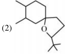 Option 2 structure showing a substituted cyclic ether system with gem-dimethyl and tert-butyl-like substituents.