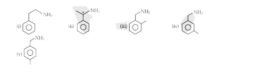 Five aromatic amine structures are shown as possible ring-substituted isomers with benzene ring and NH2 group placements, illustrating counted isomer patterns for formula C8H11N.