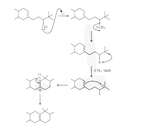 Stepwise acid-catalyzed cyclization mechanism showing protonation, carbocation formation, methyl shift, ring closure, and final fused cyclic product.