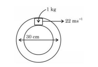 A circular vertical tube with average diameter 30 cm contains a 1 kg block near the top, with an arrow showing speed 22 m/s and diameter marked 30 cm.