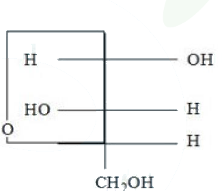 Cyclic carbohydrate structure with ring oxygen on left, two OH groups on right side, H at lower right, and CH2OH at bottom.