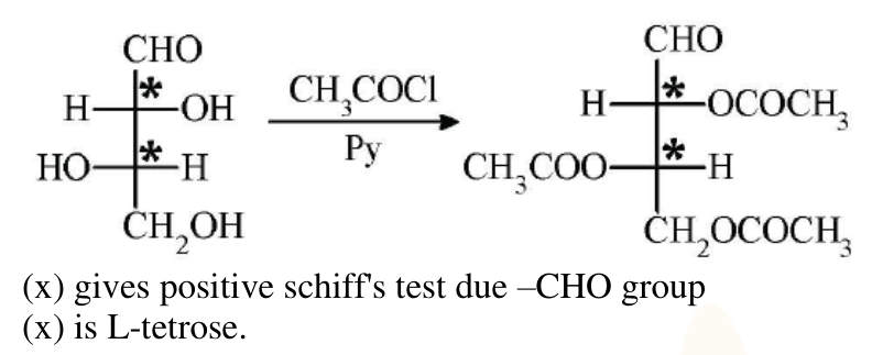Acetylation of Fischer projection X with CH3COCl and pyridine giving triacetate, with note that X gives positive Schiff test due to CHO group.