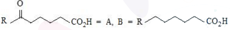 Option showing A as an alkyl-substituted keto-acid and B as the corresponding alkyl-substituted monocarboxylic acid after carbonyl reduction.