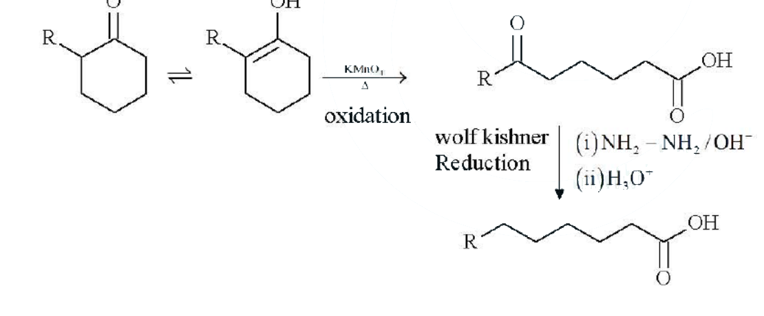 Solution scheme showing keto-enol oxidation of alkyl cyclohexanone to an open-chain keto-acid, followed by Wolff-Kishner reduction to the corresponding alkyl-substituted carboxylic acid.