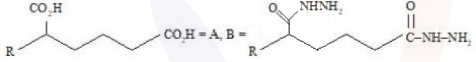 Option showing A as a carboxylic acid chain and B as a dihydrazide-like product with terminal carbonyl hydrazine groups.