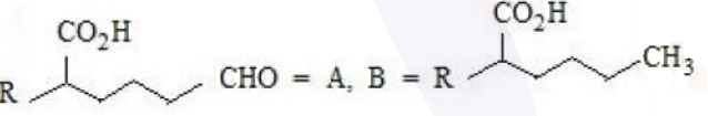 Option showing A as a chain containing carboxylic acid and aldehyde groups, and B as the corresponding alkyl-substituted carboxylic acid.