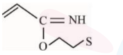 Option C shows an imidate-like structure where oxygen is bonded to the two-carbon chain ending in sulfur.
