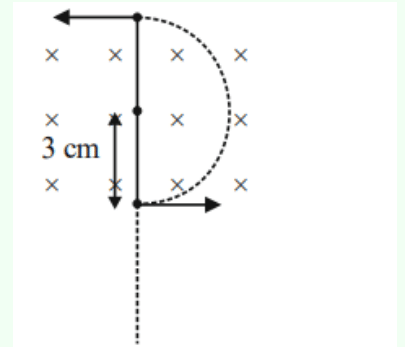 Magnetic field region shown by crosses, a charged particle entering horizontally, moving in a semicircular path of radius 3 cm, with arrows indicating motion and field direction.