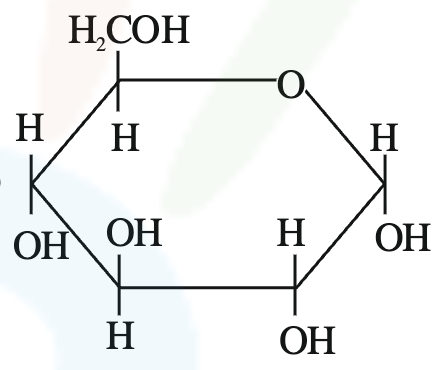 First pyranose ring option showing a six-membered glucopyranose structure with anomeric OH orientation as in option one.
