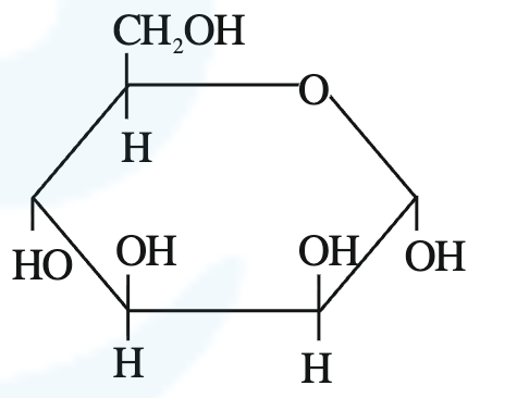 Second pyranose ring option showing a six-membered glucopyranose structure with anomeric OH orientation as in option two.