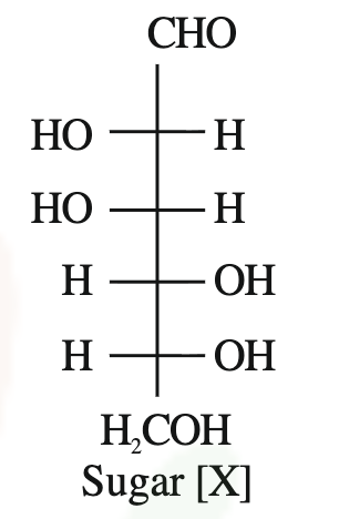 Open-chain Fischer projection of sugar X shown vertically with CHO at top and CH2OH at bottom, corresponding to D-glucose.