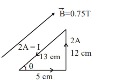 Right triangle current loop with sides 5 cm, 12 cm, 13 cm, current 2 A, and magnetic field B = 0.75 T drawn parallel to the 13 cm side.