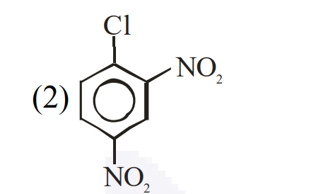 Option 2 structure showing chlorobenzene with one nitro group ortho and one nitro group para to chlorine.