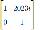 Matrix option showing a 2 by 2 matrix with entries 1, 2023i, 0, and 1.