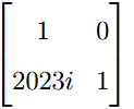 Matrix option showing a 2 by 2 matrix with entries 1, 0, 2023i, and 1.