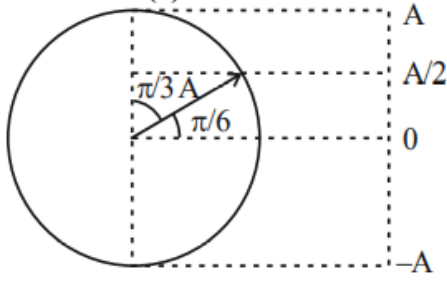 Circle representation of SHM with vertical diameter, radii marked by angles pi by 6 and pi by 3, and displacement levels labeled A, A over 2, 0, and minus A.