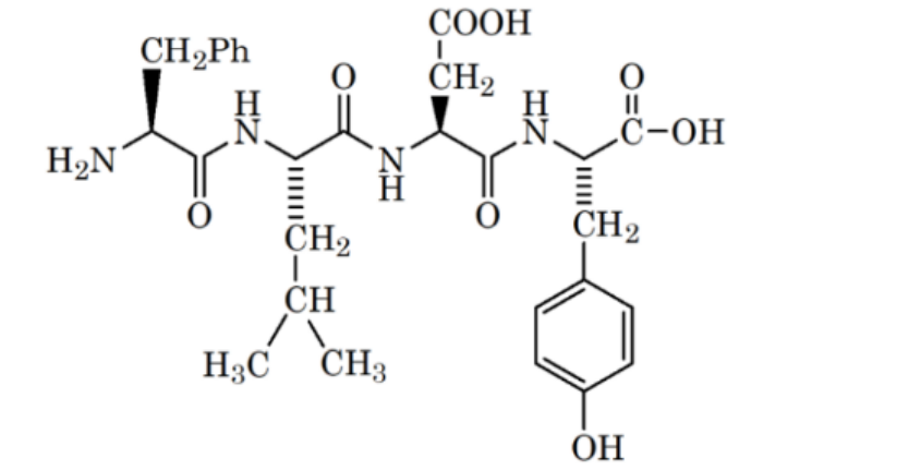 Structural formula of a tetrapeptide showing amino terminal on the left and carboxyl terminal on the right, with side chains CH2Ph, CH2CH(CH3)2, CH2COOH, and CH2-phenyl-OH corresponding to four amino acid residues.