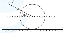 A garden roller on a horizontal surface is pushed by force F directed downward at 30 degrees to the horizontal.