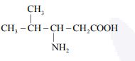 Structural formula showing CH3-CH(CH3)-CH(NH2)-CH2COOH, with amino group not on the alpha carbon relative to carboxyl group.