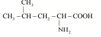Structural formula showing CH3-CH(CH3)-CH2-CH(NH2)-COOH, an alpha-amino acid with amino group on carbon adjacent to carboxyl group.