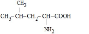 Highlighted structural formula of option two showing CH3-CH(CH3)-CH2-CH(NH2)-COOH with amino group on alpha carbon next to carboxyl group.