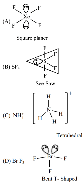 Diagram showing shapes of XeF4 square planar, SF4 see-saw, NH4 plus tetrahedral, and BrF3 bent T-shaped with lone pairs marked.