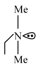 Option 2 shows a tertiary amine with nitrogen bonded to three alkyl groups including two methyl groups.