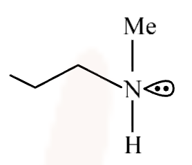 Option 3 shows a secondary amine structure with one hydrogen and one methyl substituent on nitrogen attached to a branched alkyl group.