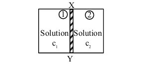Two adjacent chambers labeled 1 and 2 are separated by vertical membrane XY, with solution c1 on left and solution c2 on right.