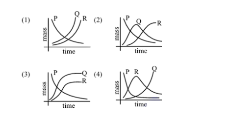Four graph options labeled 1 to 4 showing mass versus time for radioactive decay chains of P, Q and R with different curve shapes.
