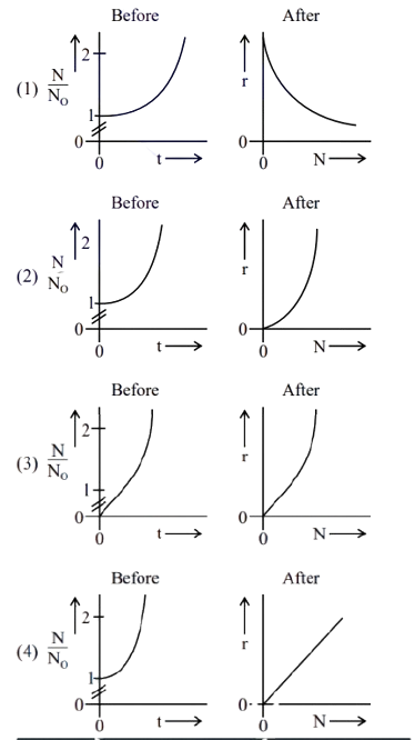 Four options of paired graphs labeled Before and After, comparing bacterial growth versus time and decay rate versus number of bacteria.