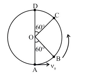 A vertical circle with center O, lowest point A, top point D, point B on the right lower side, point C on the right upper side, string length l, initial horizontal velocity v0 at A, and central angles marked 60° and 53°.