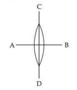 A symmetric thin biconvex lens is shown vertically with a horizontal line AB through the center and a vertical line CD through the lens, dividing it into four equal parts.