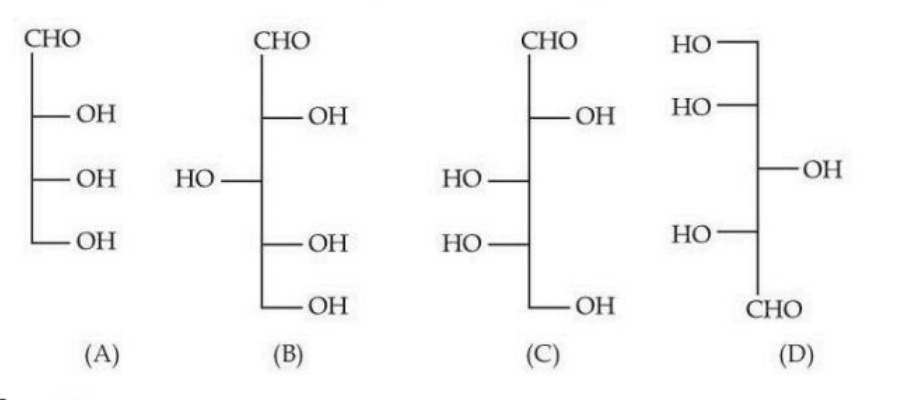 Four Fischer projection structures labeled A, B, C and D showing aldehyde and hydroxyl group arrangements for stereochemical comparison with D-glyceraldehyde.