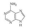 Purine ring system with an amino group attached, corresponding to adenine skeletal structure.