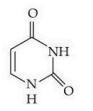 Pyrimidine ring with two carbonyl groups and one NH, corresponding to uracil skeletal structure.