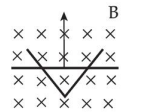 Two conducting rails form a symmetric V-shape with a horizontal conducting bar moving upward from the vertex, in a uniform magnetic field directed into the page shown by crosses, and the field is labeled B.