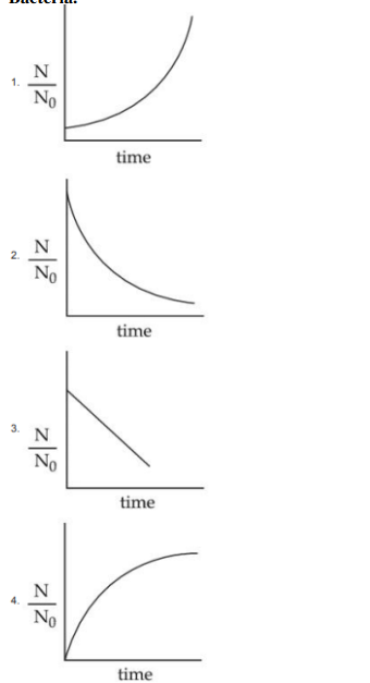 Four graph options of $$N/N_0$$ versus time are shown, including increasing, decreasing, linear decreasing, and saturating curves.
