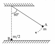 Pendulum bob A of mass m suspended from a fixed support by a string, released from 60 degrees to the vertical, striking bob B of mass m/2 resting on a frictionless horizontal table at the center.
