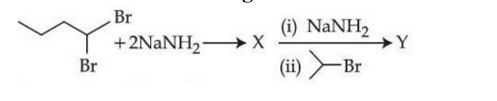 Reaction scheme showing a vicinal dibromide substrate treated first with excess sodium amide to form intermediate X, followed by sodium amide and isopropyl bromide to form product Y.