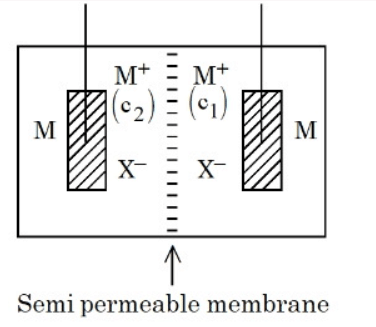 Electrochemical concentration cell with two metal electrodes M, separated by a semi permeable membrane, containing M+ ions at concentrations c2 on left and c1 on right, with X− counter ions in both compartments.