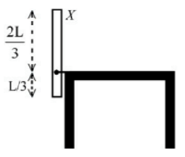 A thin uniform rod of length L stands vertically on a table, pivoted at a point located one-third of the rod length above the table, then falls to a horizontal position on the tabletop.