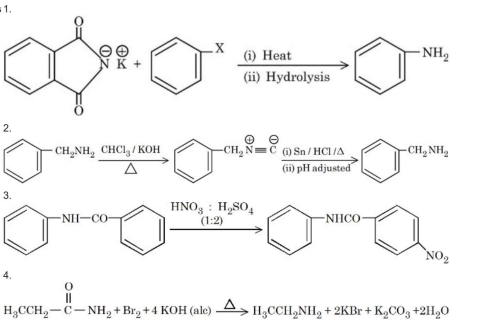 Four organic reaction schemes labeled 1 to 4, including Gabriel synthesis, carbylamine reaction, nitration of acetanilide, and Hofmann bromamide reaction with reagents and products shown.