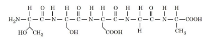 Pentapeptide structure shown from left to right with H2N at the N-terminus and COOH at the C-terminus, containing side chains corresponding to threonine, serine, aspartic acid, glycine, and alanine residues.
