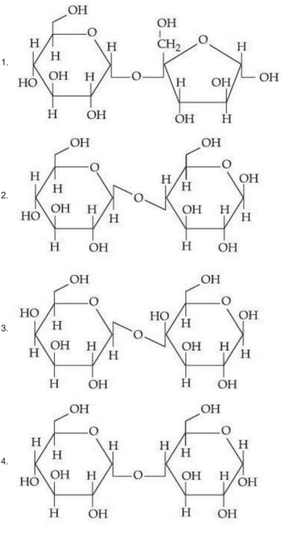 Four numbered disaccharide structures are shown, each with two monosaccharide rings linked by a glycosidic oxygen bond and multiple OH labels, asking to identify the non-reducing sugar among structures 1 to 4.